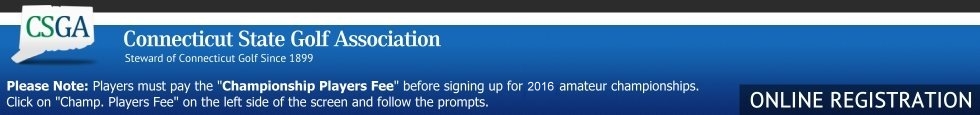 Tournament Pairing Program Online